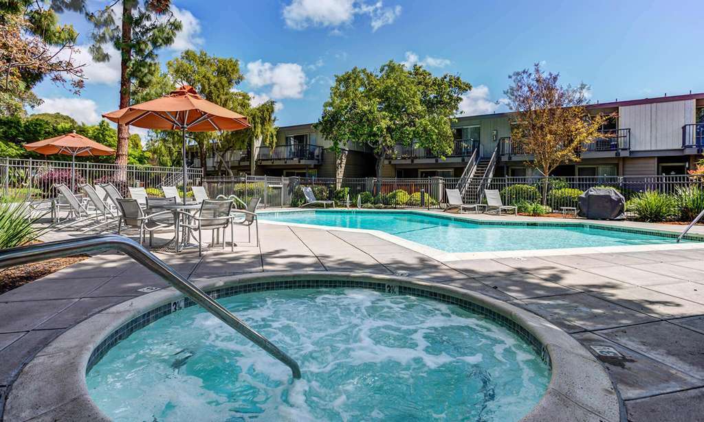 Spruce Apartments Sunnyvale Servizi foto